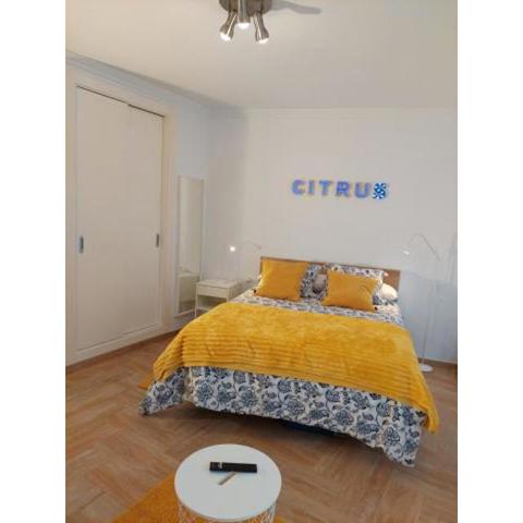 Citrus Suite by Alhaurín Loft City Center