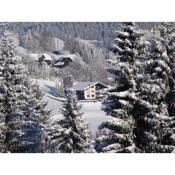 Cozy Apartment in Afritz am See near Gerlitzen Ski Area