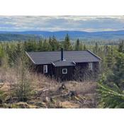 Cozy forest cabin with amazing mountain view