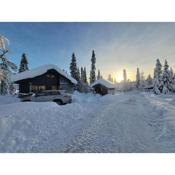 Cozy mountain house in Jämtland