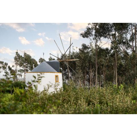 Delightful forest windmill, 10 min away from the beach