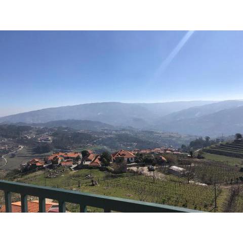 Douro vineyards and Mountains