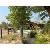 Elephant View Camp