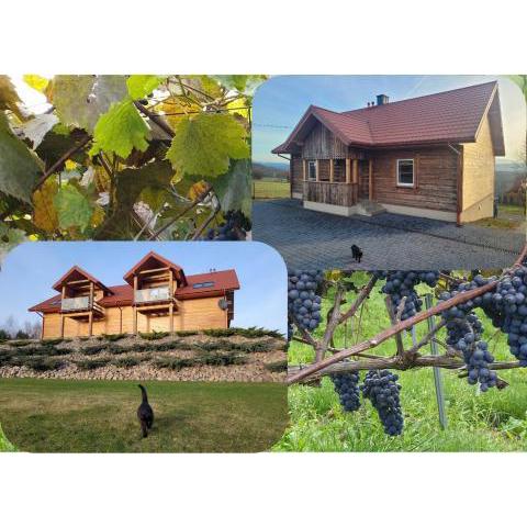 Fantastic View Vineyard Beskid Mountains