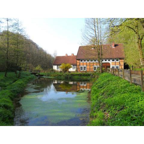 Ferienhaus Höllenmühle