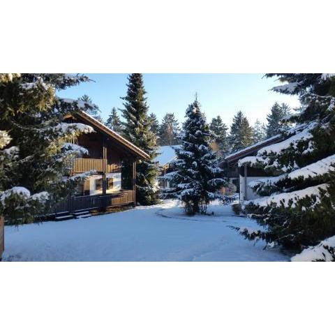 Ferienhaus im Waldferiendorf Regen