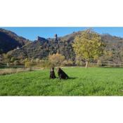 Ferienhaus Leopold mit Burgblick an der Mosel