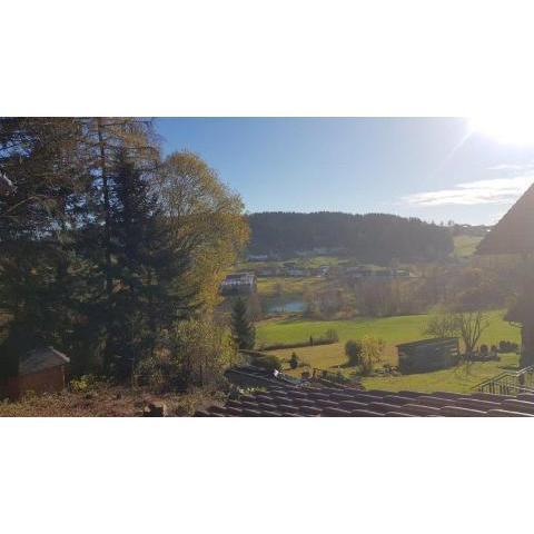 Ferienhäuser zum Badeweiher