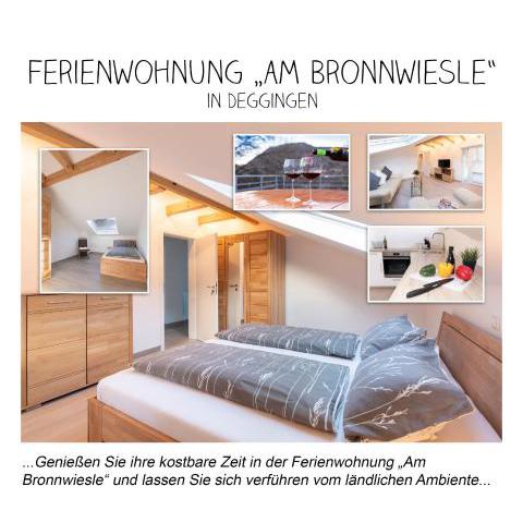 Ferienwohnung *Am Bronnwiesle*