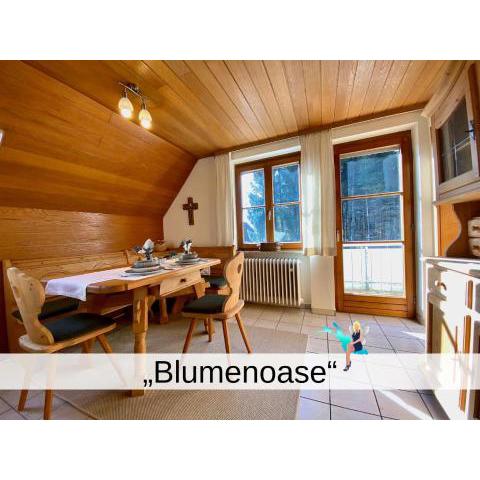 Ferienwohnung Blumenoase - gemütliche Ferienwohnung zwischen Allgäu und Bodensee