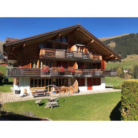 Ferienwohnung Gilbach Adelboden