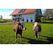 Ferienwohnung im Fachwerk mit Bergblick in Alleinlage und großem Garten, Infrarotkabine