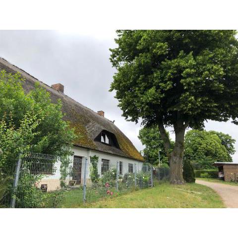 Ferienwohnung Landhaus