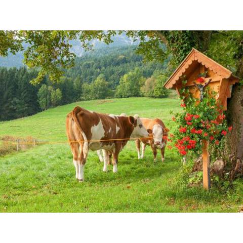 Ferienwohnung Reiter