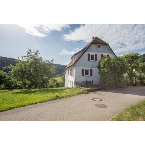 Ferienwohnung Schwarzwald Idyll