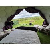 Glamping Boutique Domes