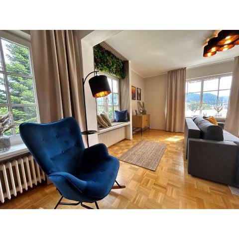 Harzburgliving Wohnung Goethe`s Ausblick