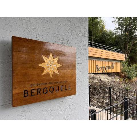 Haus Bergquell App 2