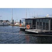 Hausboot Fjord Aquila mit Dachterrasse in Wendtorf