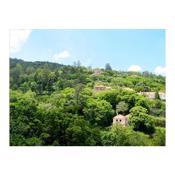 Heart of Sintra - Amazing Views, Pool & Garden