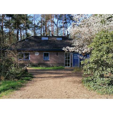 Holiday home bos en heide