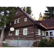 Holiday home in Harrachov 2446