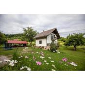 Holiday house On the riverside