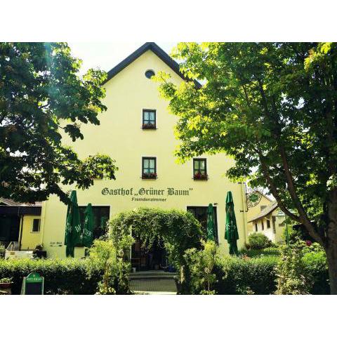 Hotel-Landgasthof Grüner Baum - Dittigheim