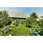 House, Garden and a Green Cat