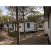 Inviting mobile home in Sorso with garden
