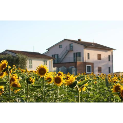 La Collina del Girasole