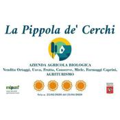 La Pippola de' Cerchi