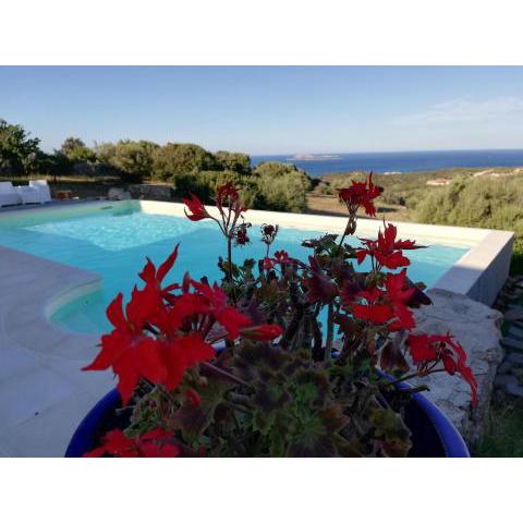 La Sima villa con piscina vista mare San Pantaleo Sardegna