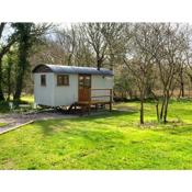 Lilliput - Delightful 1-bedroom shepherd's hut