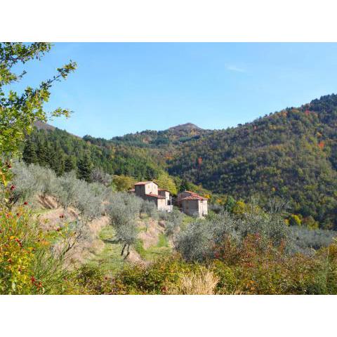 Locazione Turistica Quercia