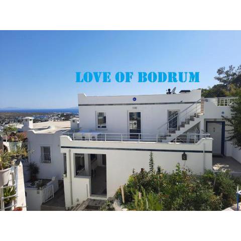 Love of Bodrum House