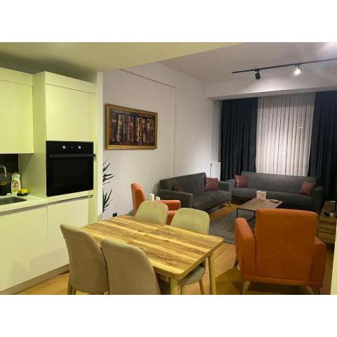 Luxury Fully Furnished Apartment