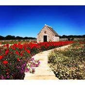 Masseria Nicola Casavola Country Resort