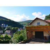 Meadow View Cottage in Winterstein Thuringia near Ski Area