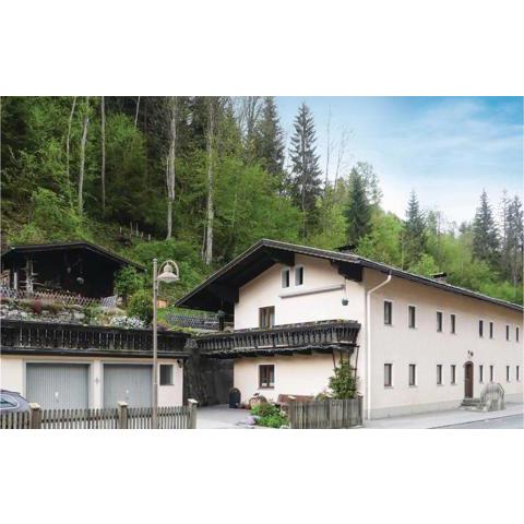 Nice apartment in Mühlbach am Hochkönig w/ WiFi and 1 Bedrooms