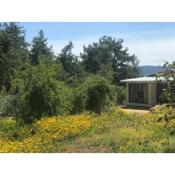 Orange House with Nature View in Olympos Antalya