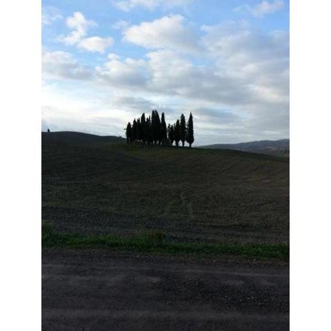 Passaggio in Val d' Orcia