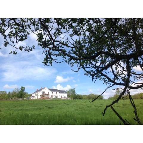 Penddaulwyn Uchaf Farm # Carmarthenshire