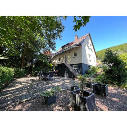 Platell Ferienhäuser Harz Lonau