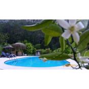 Portalimo Lodge Hotel - Adult Only +12