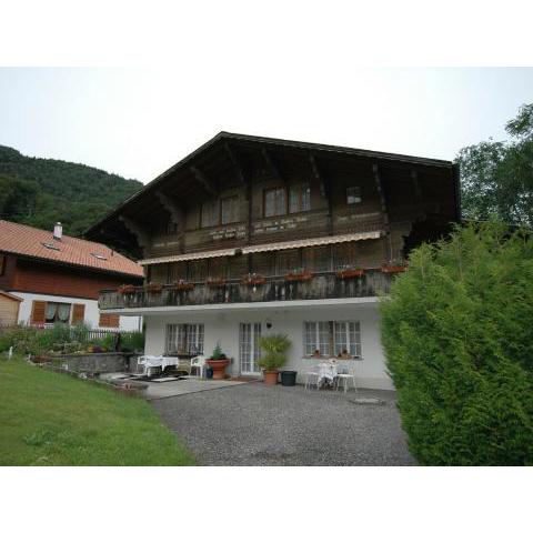 Pristine home in a charming village large grassy sunbathing area view of the M nch and Jungfrau