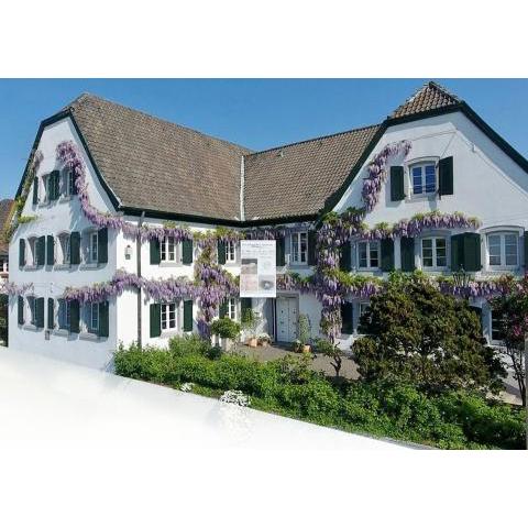 Rhein River Guesthouse - Direct on the Rhine