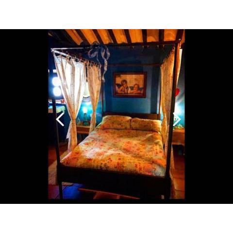 Room in Guest room - Beautiful rural house in Valeria