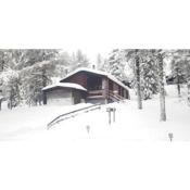 Ruka Villa Kieppi