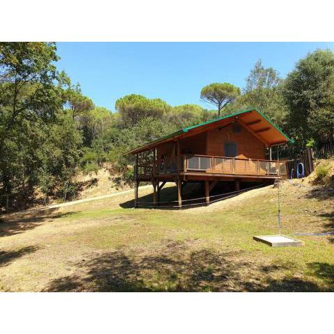 Rustic Cabin in the Woods/Cabaña en el bosque